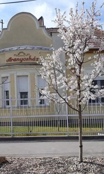 Aranyoshaz-Vendeghaz Apartment Budapest Exterior photo