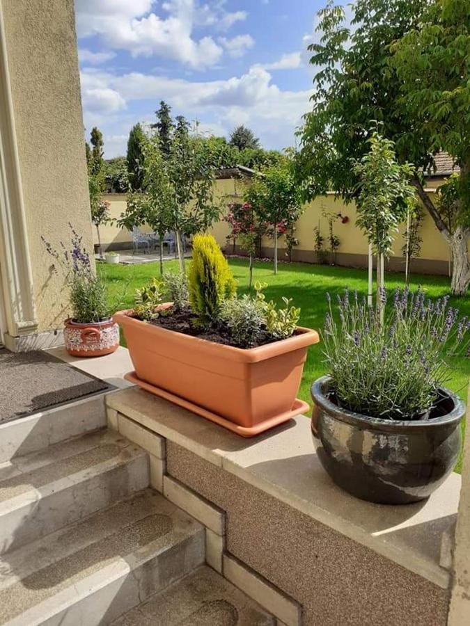 Aranyoshaz-Vendeghaz Apartment Budapest Exterior photo